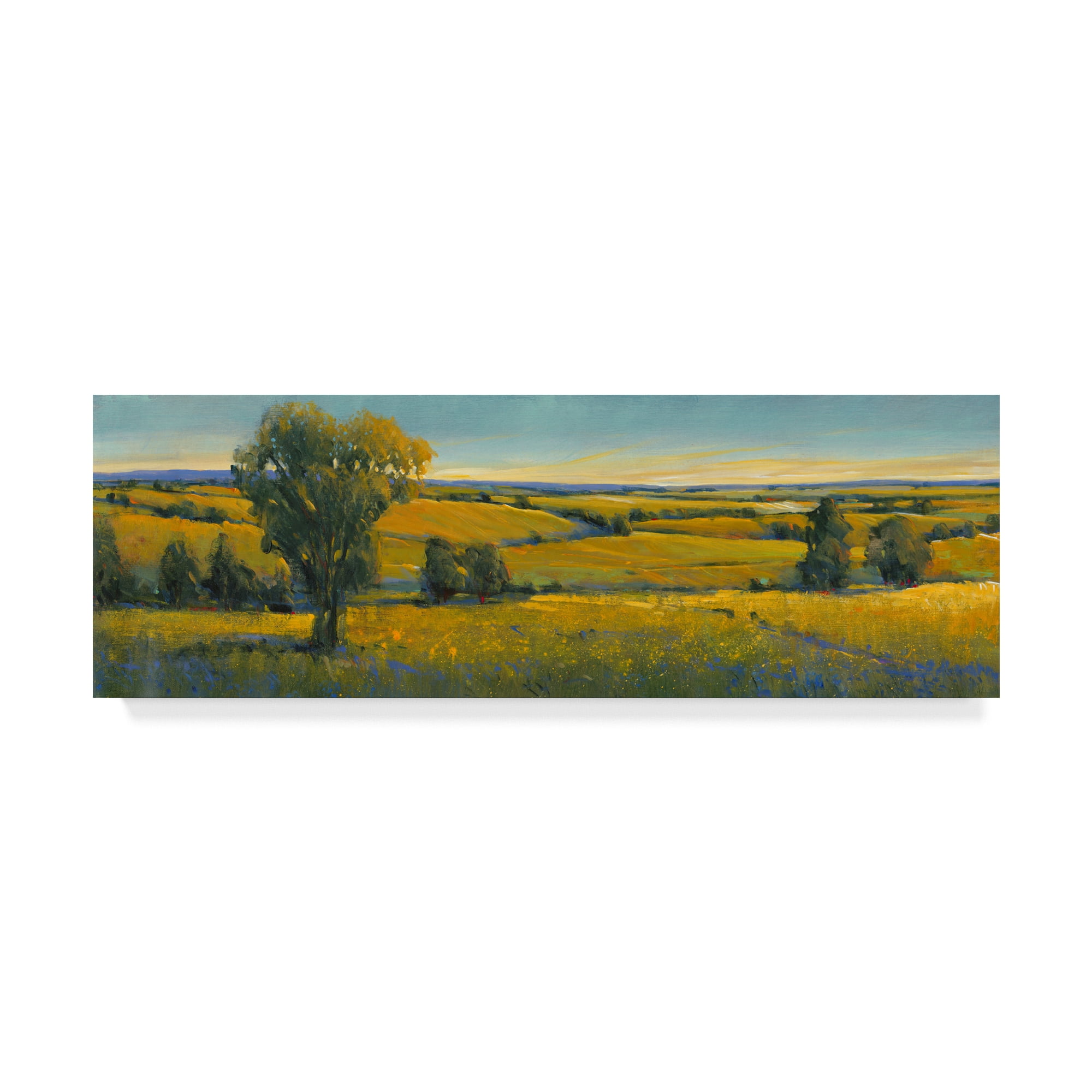 Trademark Fine Art 'Picturesque Scene I' Canvas Art by Tim OToole