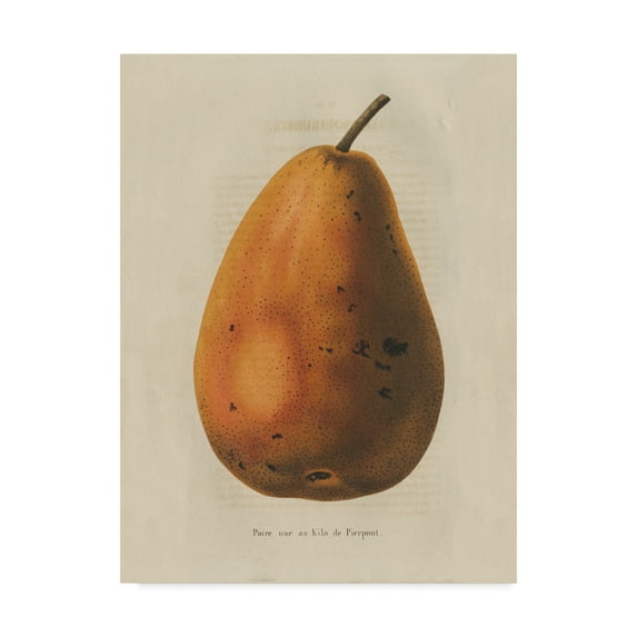 Trademark Fine Art 'Pierpont v2' Canvas Art by Wild Apple Portfolio
