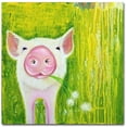 thumbnail image 1 of Trademark Fine Art 'Pig' Canvas Art by Michelle Faber, 1 of 6
