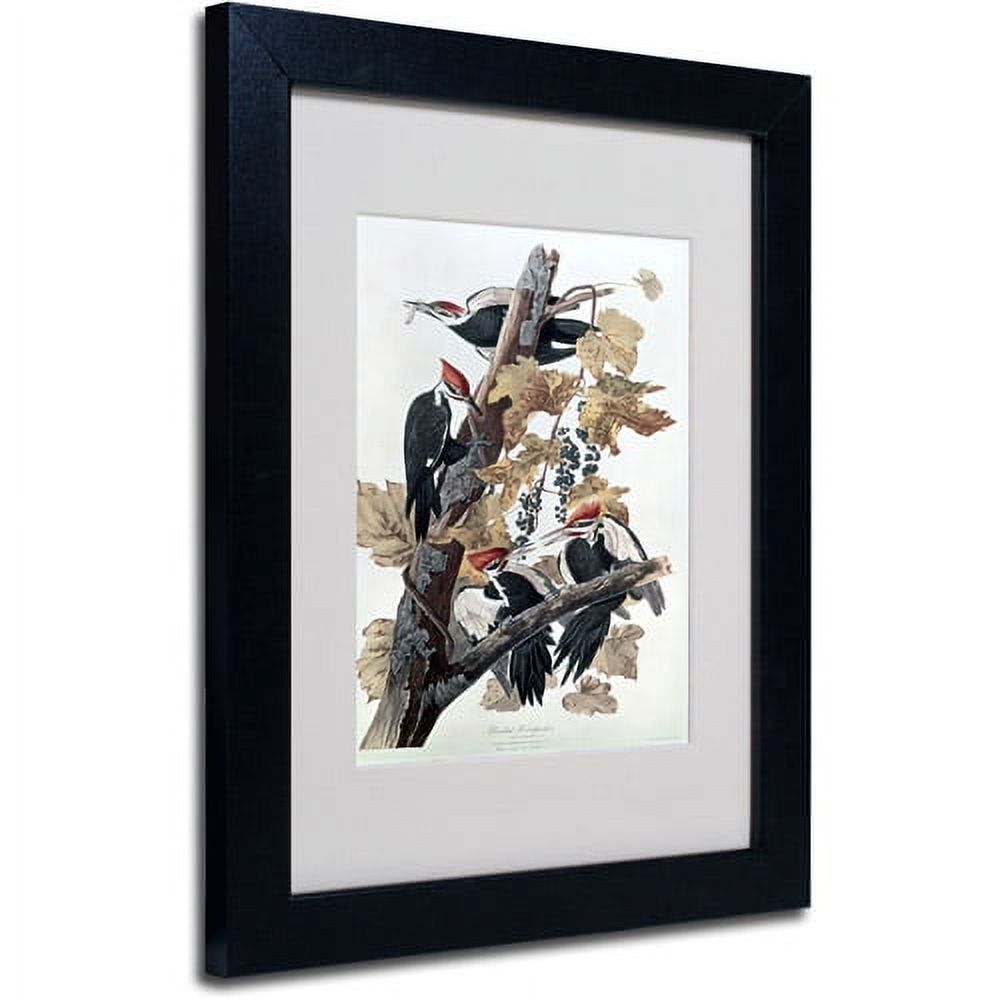 Trademark Fine Art "Pileated Woodpeckers" Canvas Art by John James Audubon, Black Frame