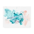 thumbnail image 1 of Trademark Fine Art 'Pileus I' Canvas Art by June Erica Vess, 1 of 3