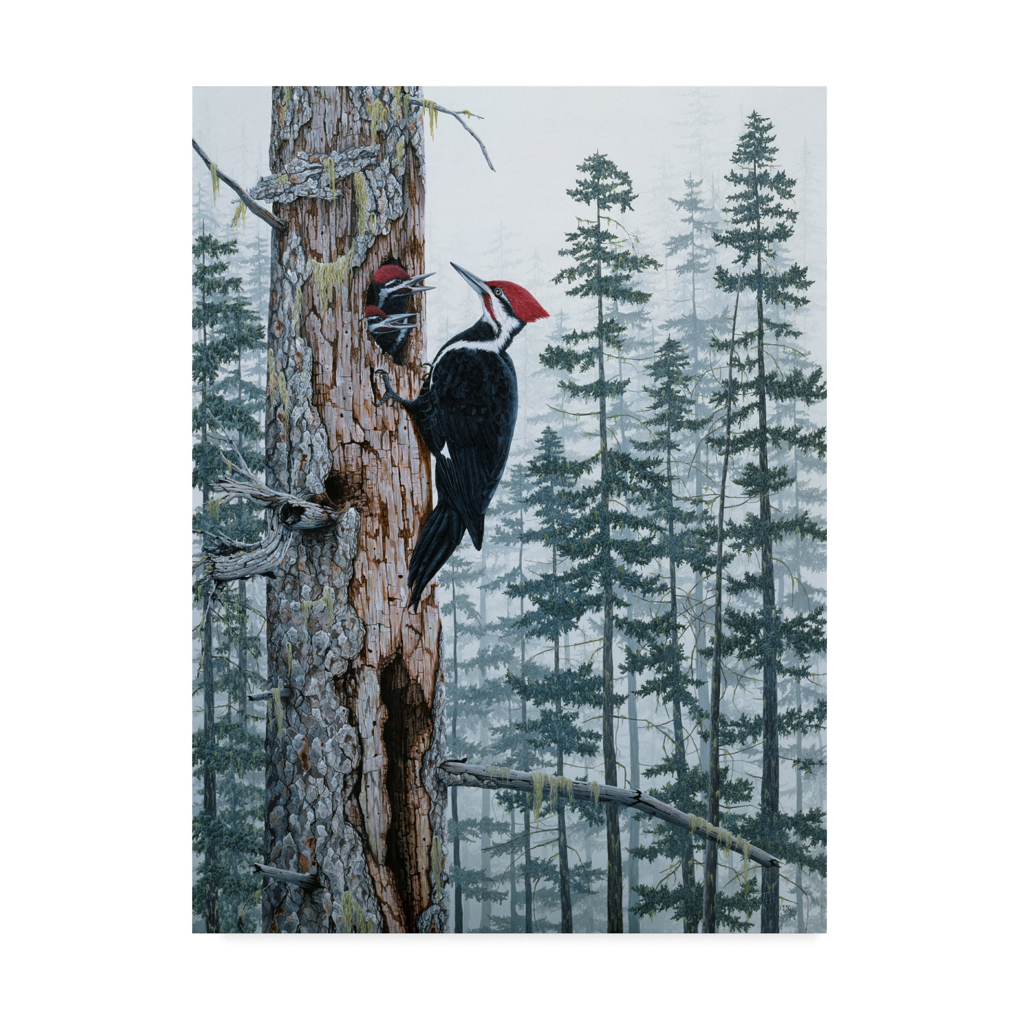 Natural Modern Framed Woodpecker Canvas Art in 18" x 24"