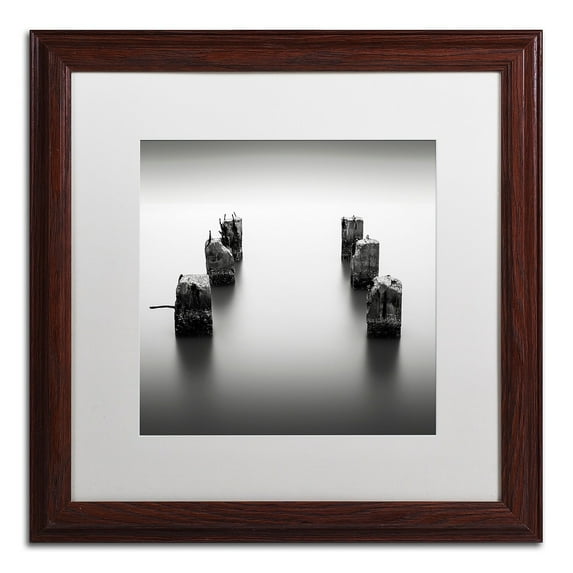 Trademark Fine Art "Pillars" Canvas Art by Dave MacVicar, White Matte, Wood Frame