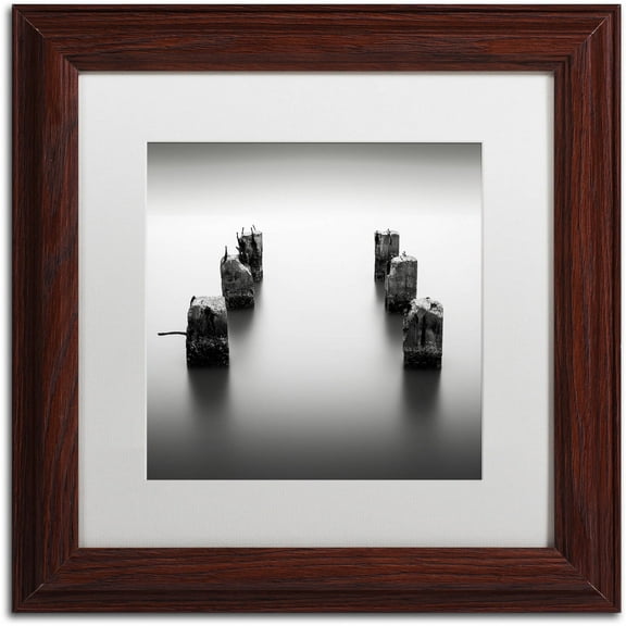 Trademark Fine Art "Pillars" Canvas Art by Dave MacVicar, White Matte, Wood Frame