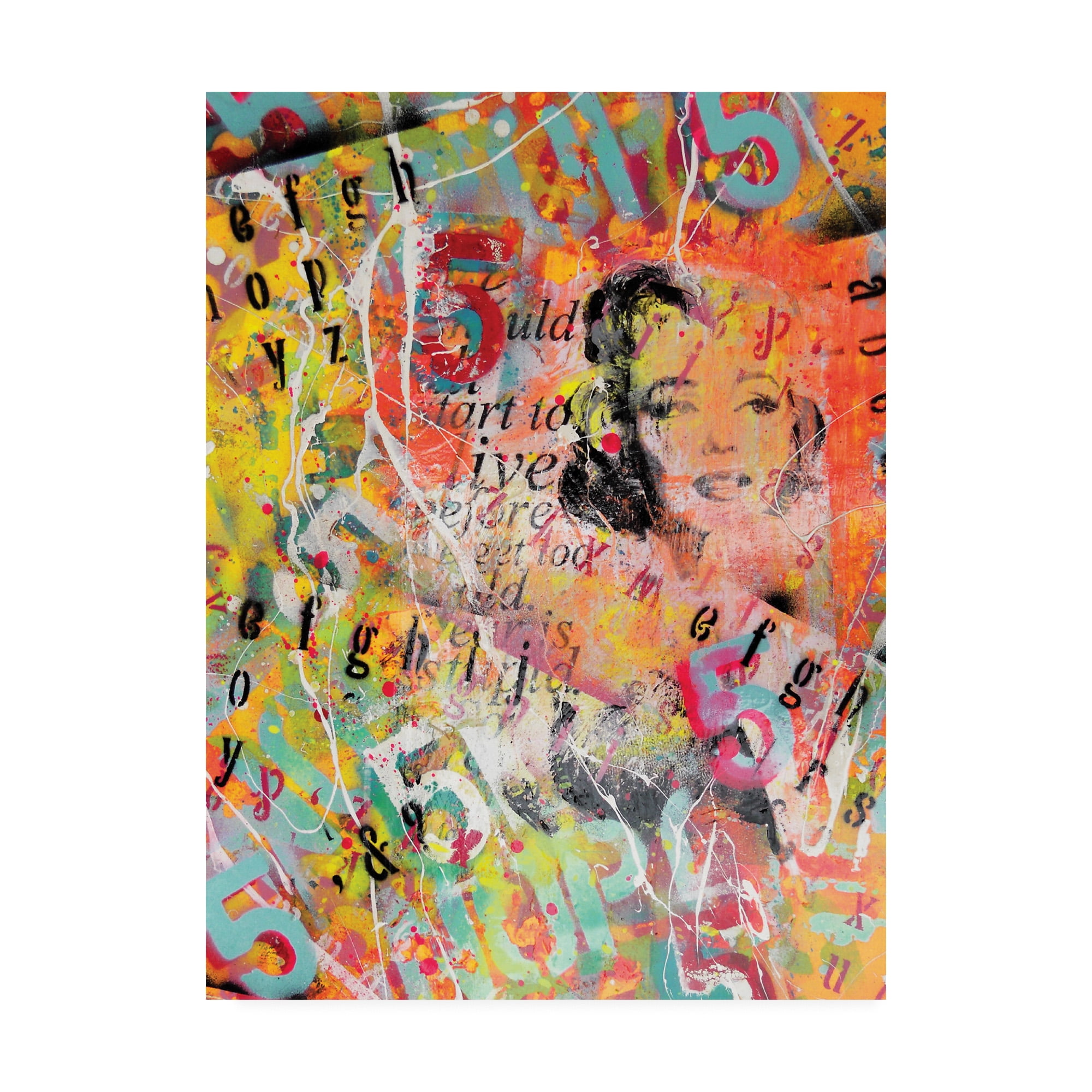Trademark Fine Art 'Pin Up Collage' Canvas Art by David Drioton