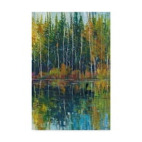 Trademark Fine Art 'Pine Reflection I' Canvas Art by Tim OToole