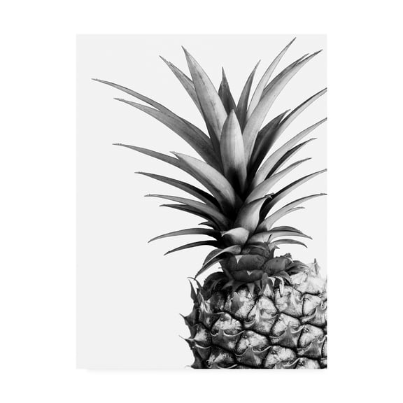 Trademark Fine Art 'Pineapple (BW)' Canvas Art by Lexie Gree