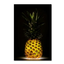 Trademark Fine Art 'Pineapple' Canvas Art by Wieteke De Kogel
