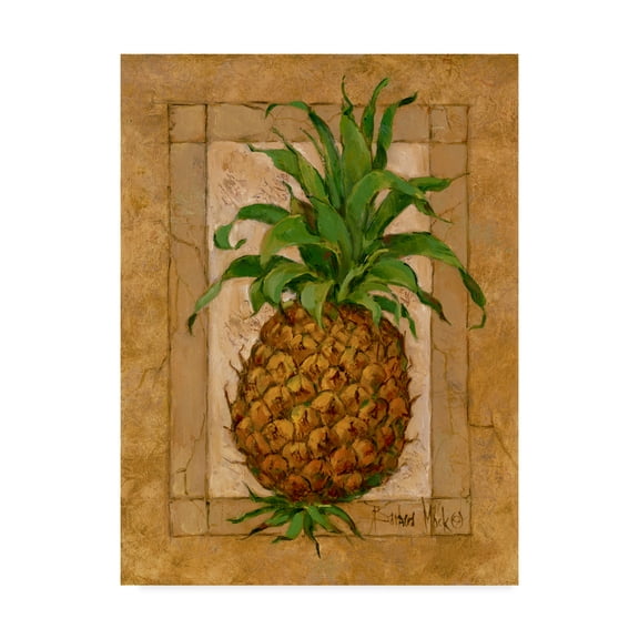 Trademark Fine Art ' Pineapple Pizzazz' Canvas Art by Barbara Mock