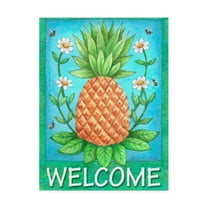 Trademark Fine Art 'Pineapple Welcome' Canvas Art by Melinda Hipsher