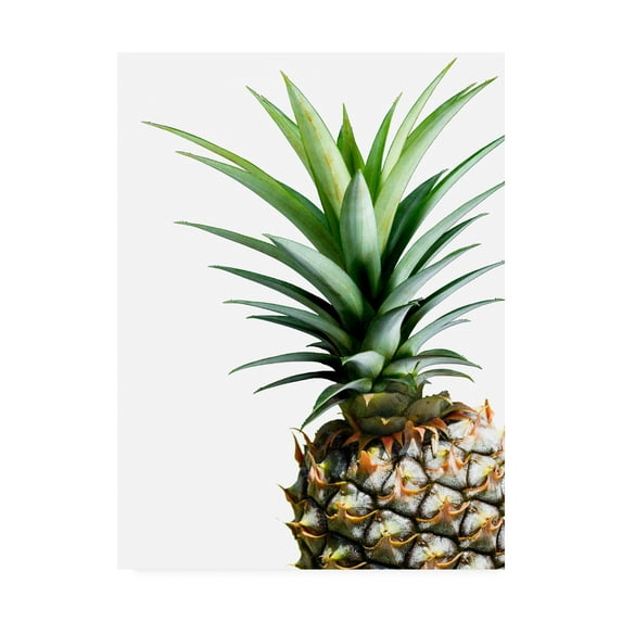 Trademark Fine Art 'Pineapple (color)' Canvas Art by Lexie Gree
