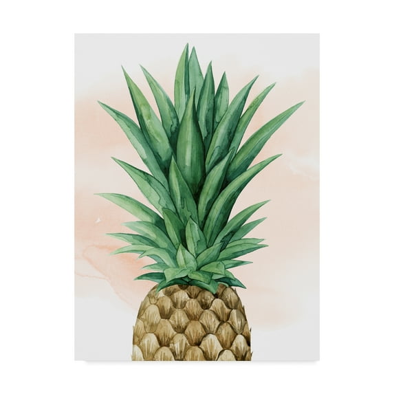 Trademark Fine Art 'Pineapple on Coral I' Canvas Art by Grace Popp
