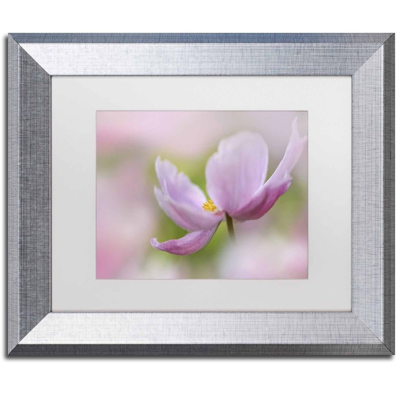 Trademark Fine Art 'Pink Anemone' Canvas Art by Cora Niele, White Matte, Silver Frame