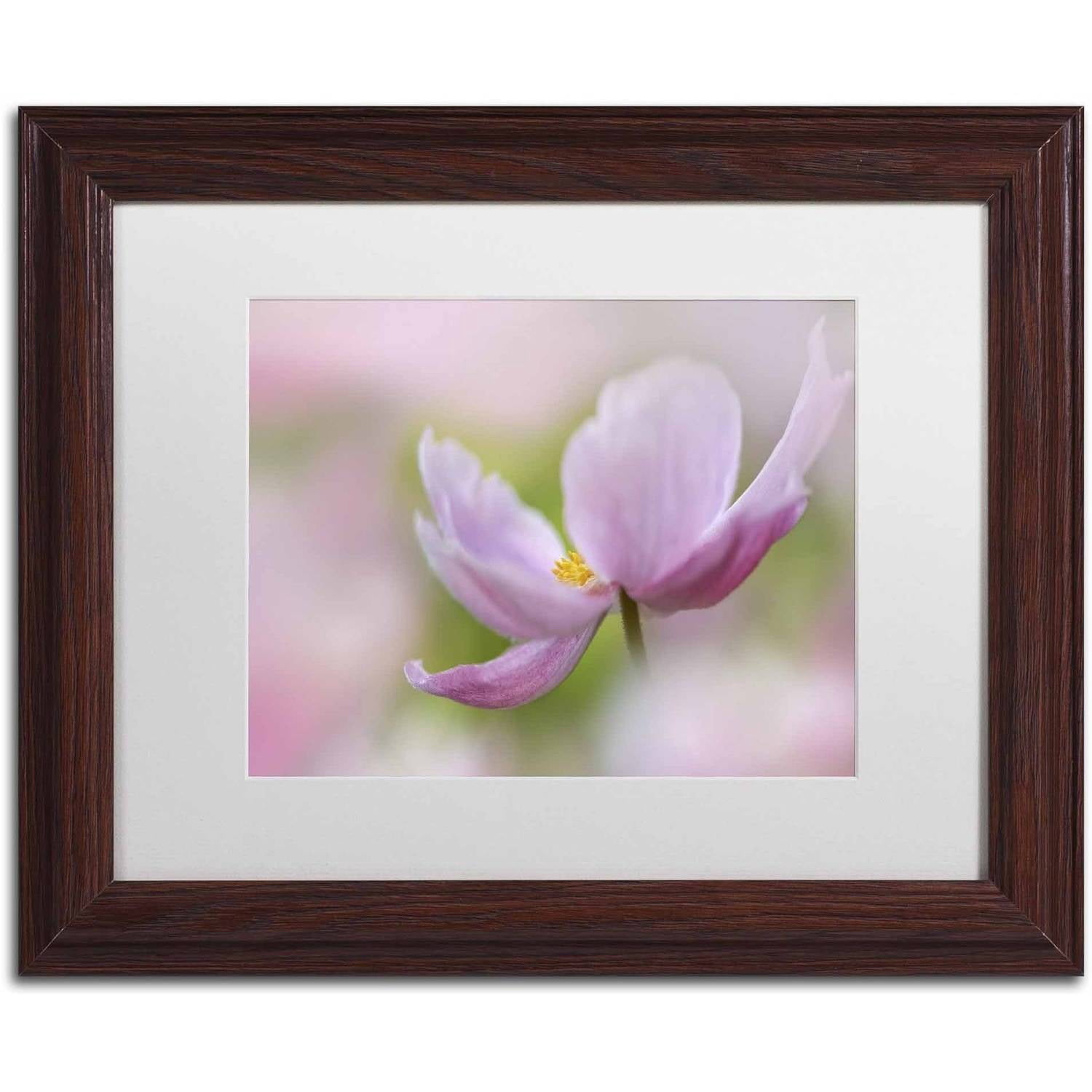 Trademark Fine Art 'Pink Anemone' Canvas Art by Cora Niele, White Matte, Wood Frame