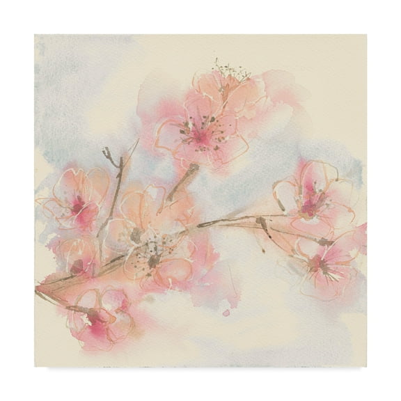 Trademark Fine Art 'Pink Blossoms II' Canvas Art by Chris Paschke