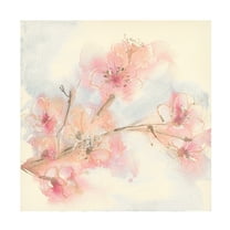 Trademark Fine Art 'Pink Blossoms II' Canvas Art by Chris Paschke