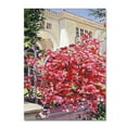 thumbnail image 1 of Trademark Fine Art "Pink Bougainvillea Mansion" Canvas Art by David Lloyd Glover, 1 of 3