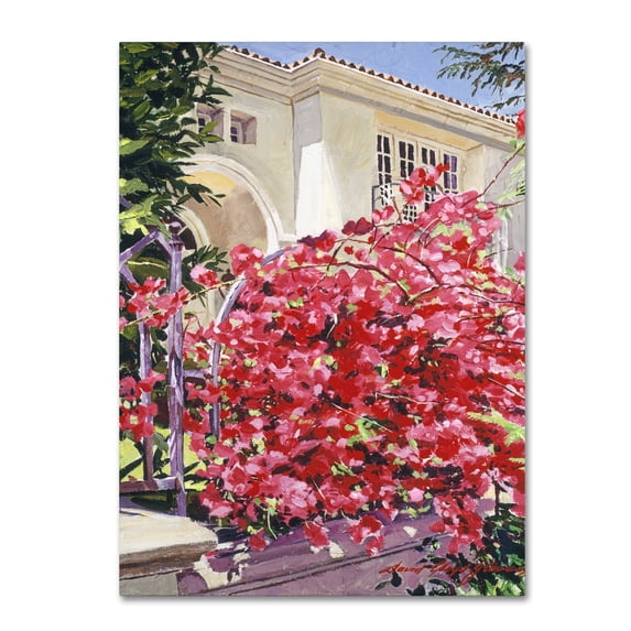 Trademark Fine Art "Pink Bougainvillea Mansion" Canvas Art by David Lloyd Glover