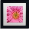 thumbnail image 1 of Trademark Fine Art "Pink" Canvas Art by Kurt Shaffer White Matte, Black Frame, 1 of 4