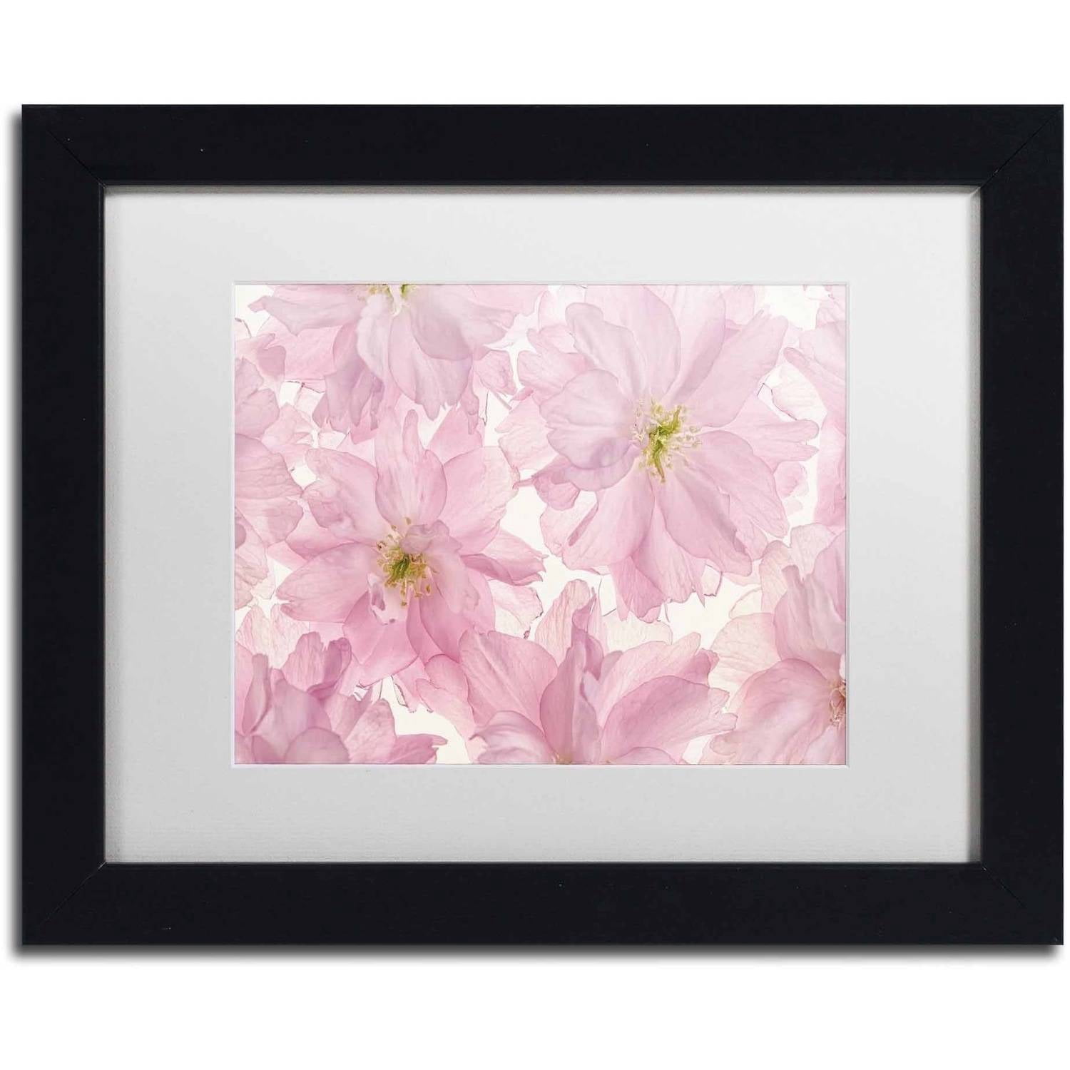 Trademark Fine Art 'Pink Cherry Blossom' Canvas Art by Cora Niele, White Matte, Black Frame