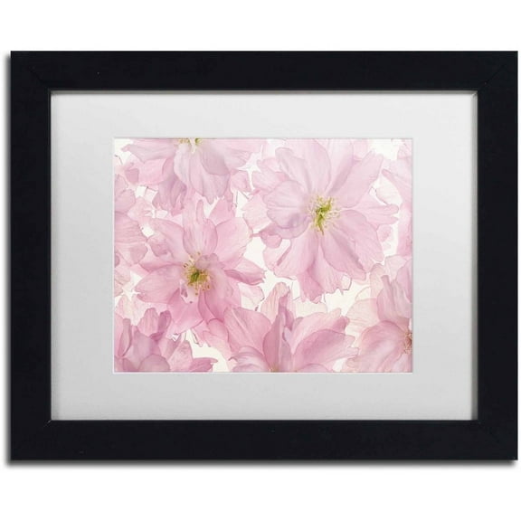 Trademark Fine Art 'Pink Cherry Blossom' Canvas Art by Cora Niele, White Matte, Black Frame