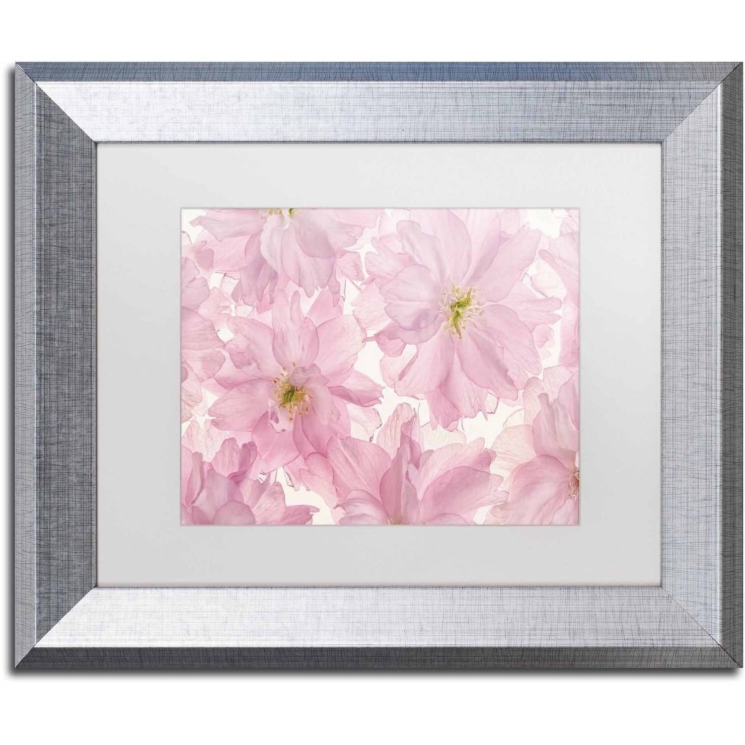 Trademark Fine Art 'Pink Cherry Blossom' Canvas Art by Cora Niele, White Matte, Silver Frame