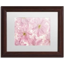 Trademark Fine Art 'Pink Cherry Blossom' Canvas Art by Cora Niele, White Matte, Wood Frame
