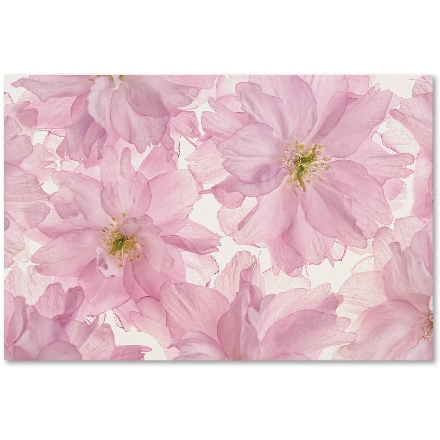 Large Pink Cherry Blossom Canvas Art with White Background