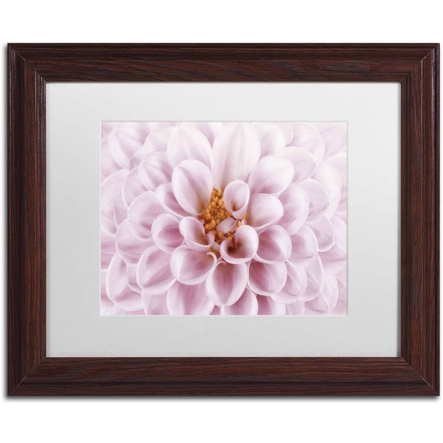 Trademark Fine Art 'Pink Dahlia' Canvas Art by Cora Niele, White Matte, Wood Frame