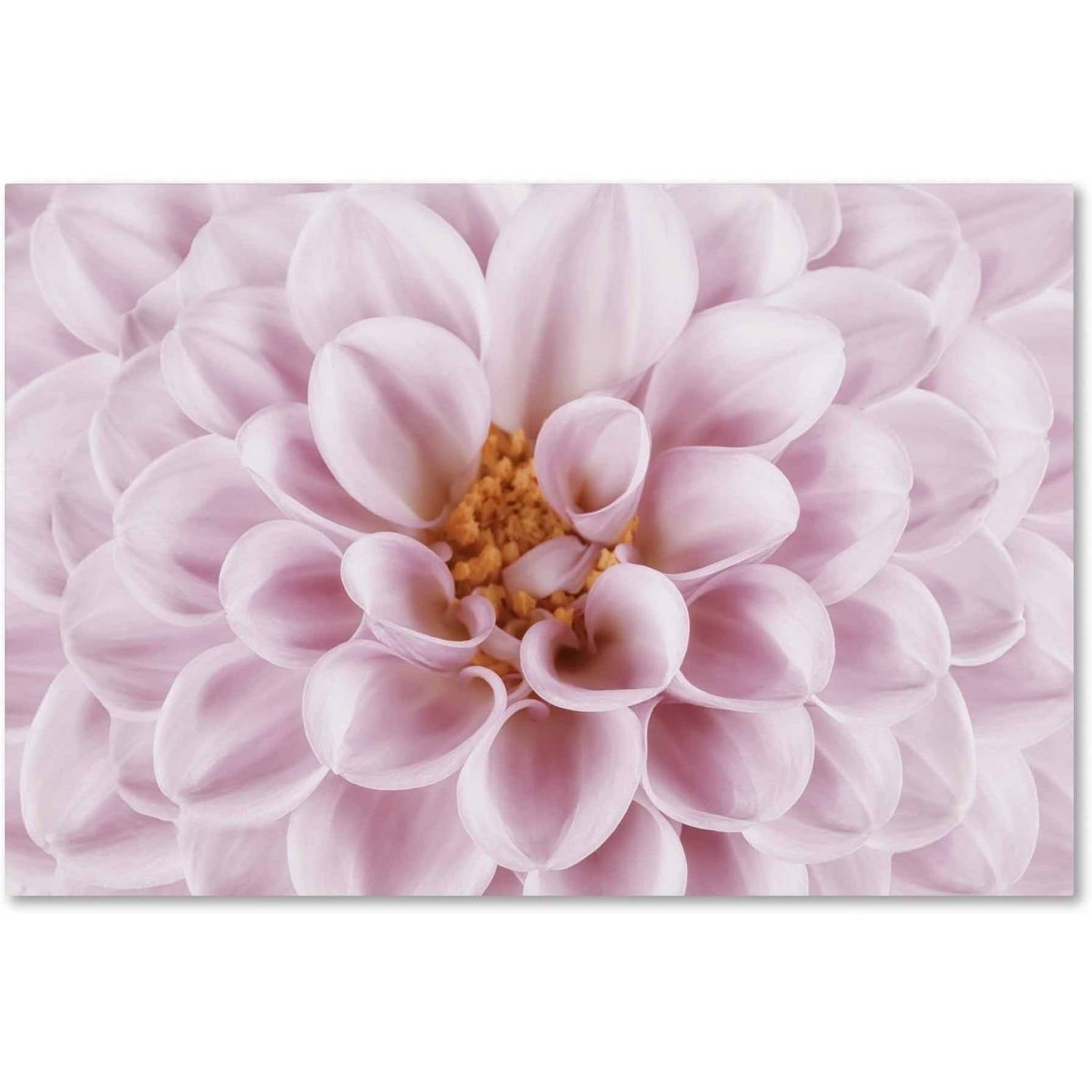 Trademark Fine Art 'Pink Dahlia' Canvas Art by Cora Niele