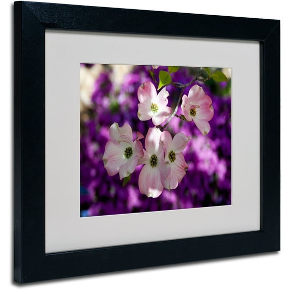 Trademark Fine Art "Pink Dogwood" by Kurt Shaffer, Black Frame