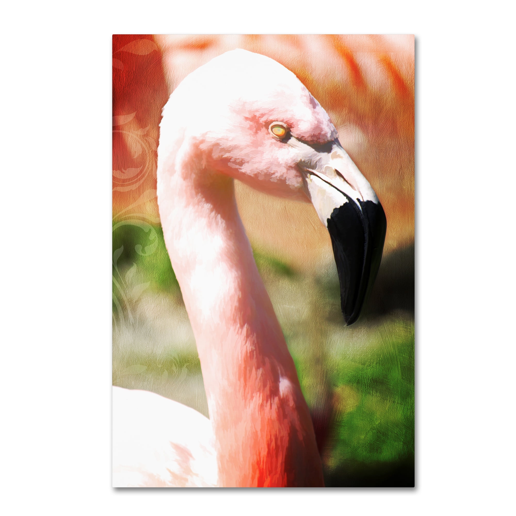 Trademark Fine Art 'Pink Flamingo I' Canvas Art by Tina Lavoie