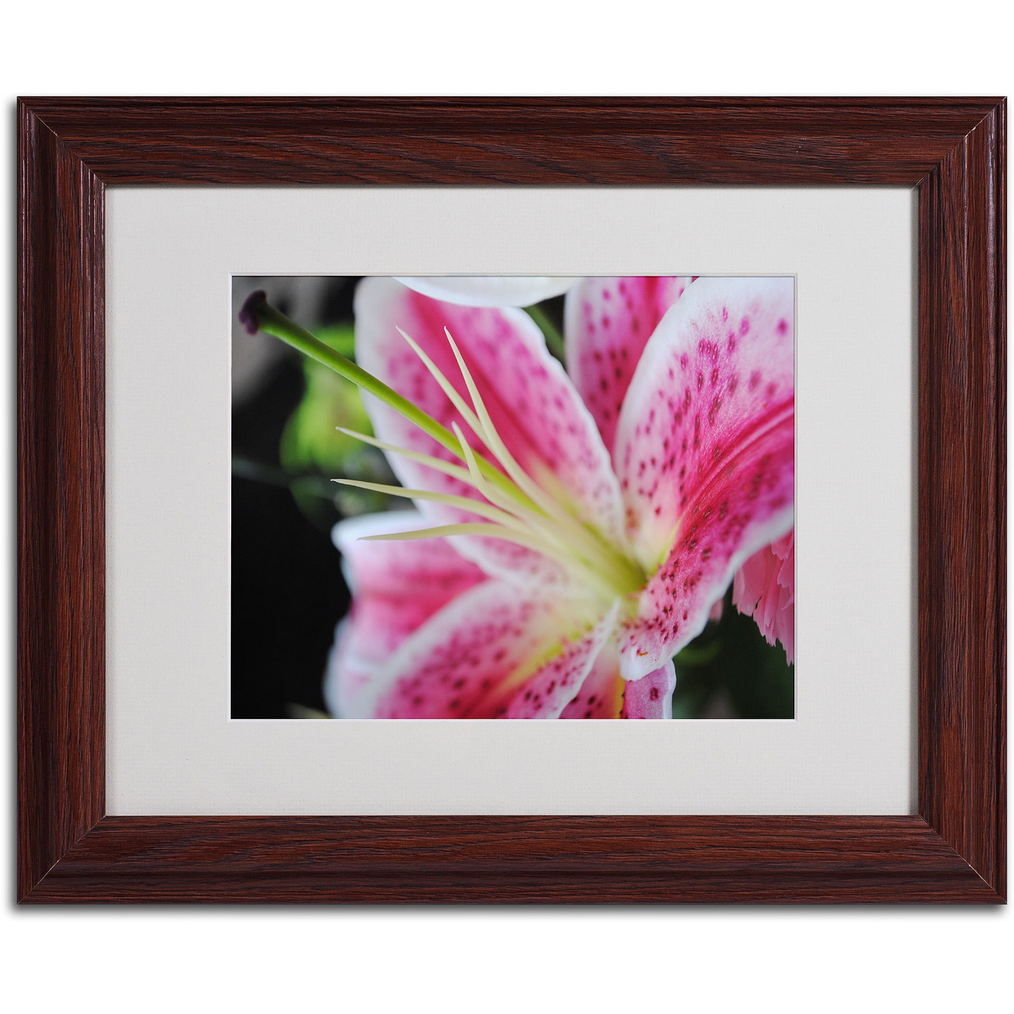 Trademark Fine Art "Pink Flower" by Monica Fleet, Wood Frame