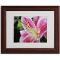 thumbnail image 1 of Trademark Fine Art "Pink Flower" by Monica Fleet, Wood Frame, 1 of 3
