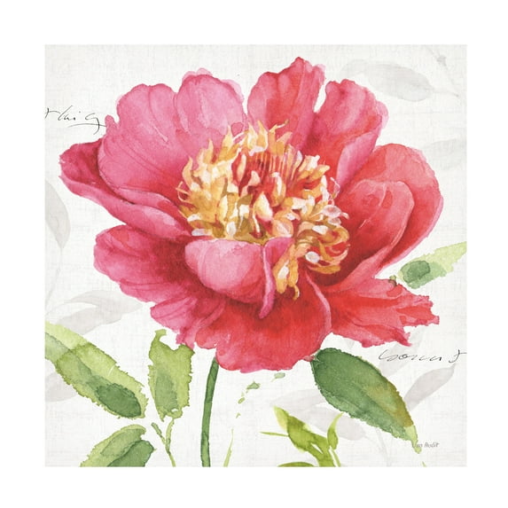 Trademark Fine Art 'Pink Garden II' Canvas Art by Lisa Audit