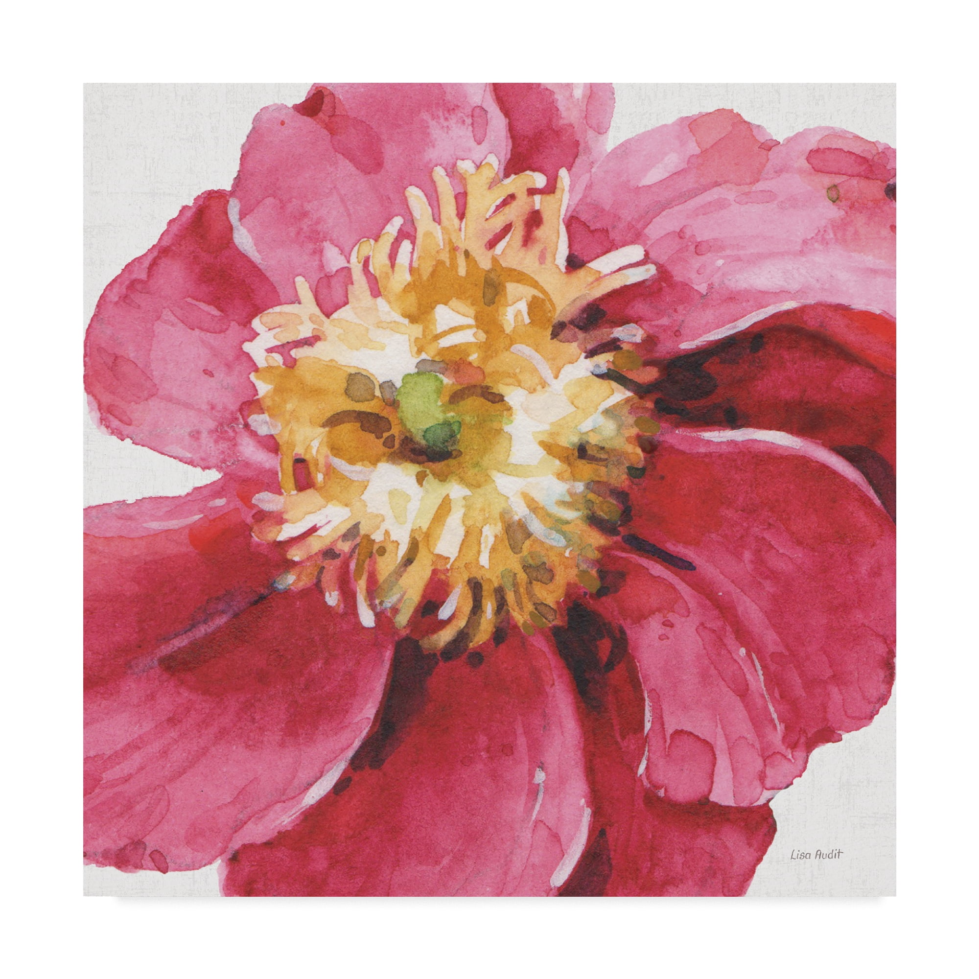 Trademark Fine Art 'Pink Garden VI' Canvas Art by Lisa Audit