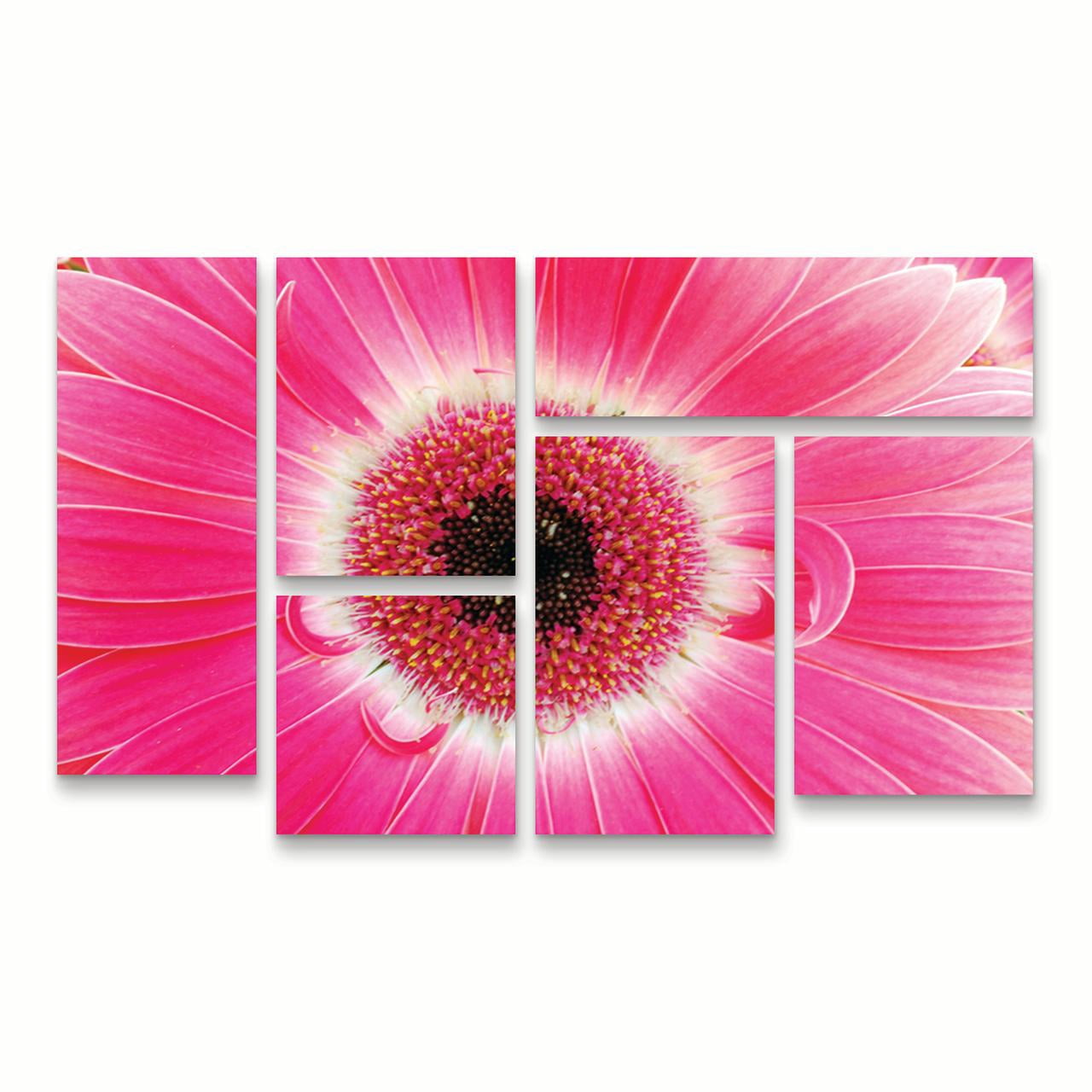 Trademark Fine Art 'Pink Gerber' Canvas Art by Kurt Shaffer