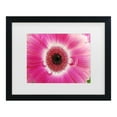 thumbnail image 1 of Trademark Fine Art 'Pink Gerber' Canvas Art by Kurt Shaffer, 1 of 4