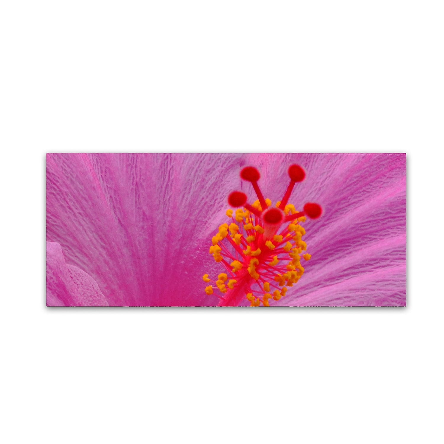Trademark Fine Art "Pink Hibiscus Abstract" Canvas Art by Kurt Shaffer