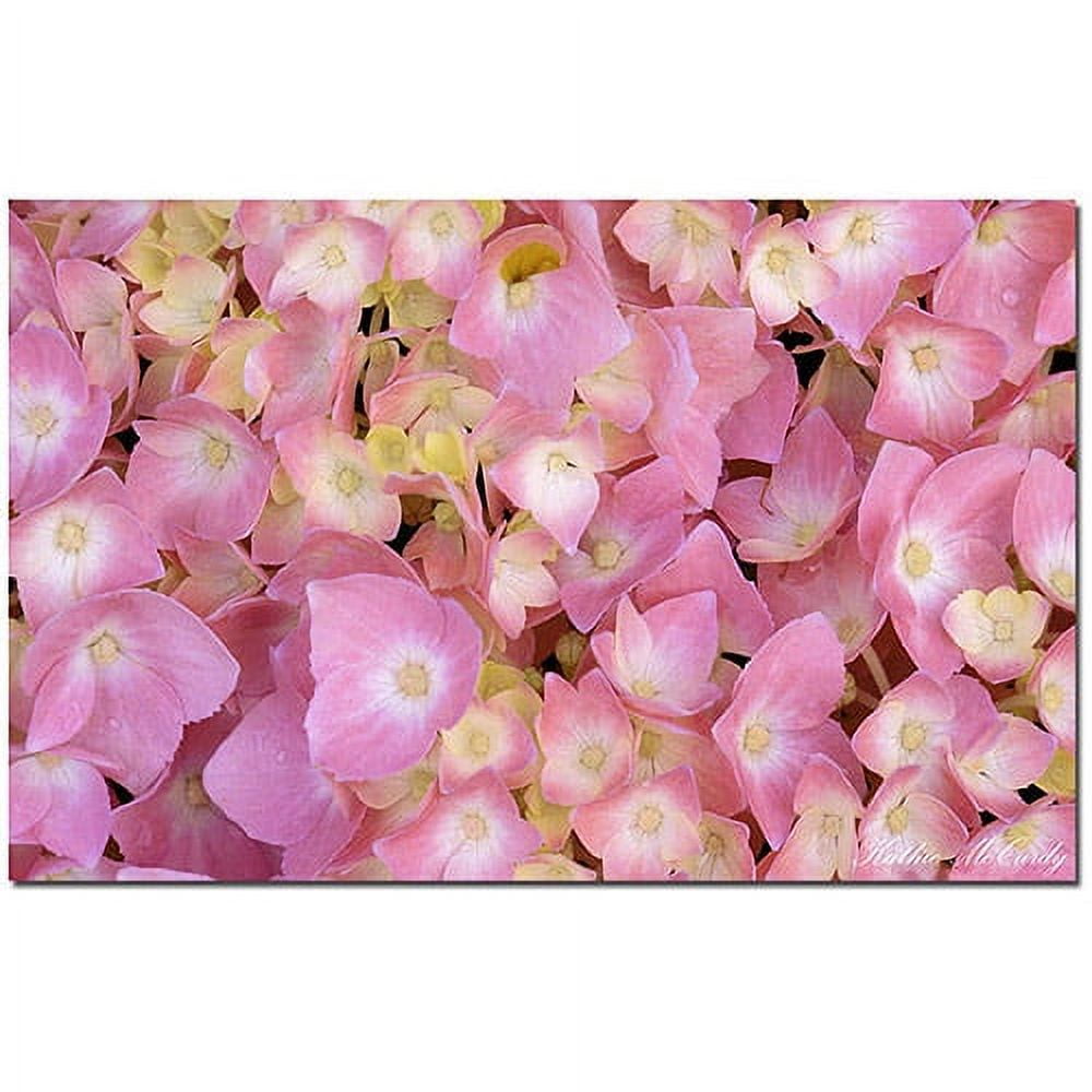 Pink Hydrangea Contemporary Canvas Art Print with Wooden Frame
