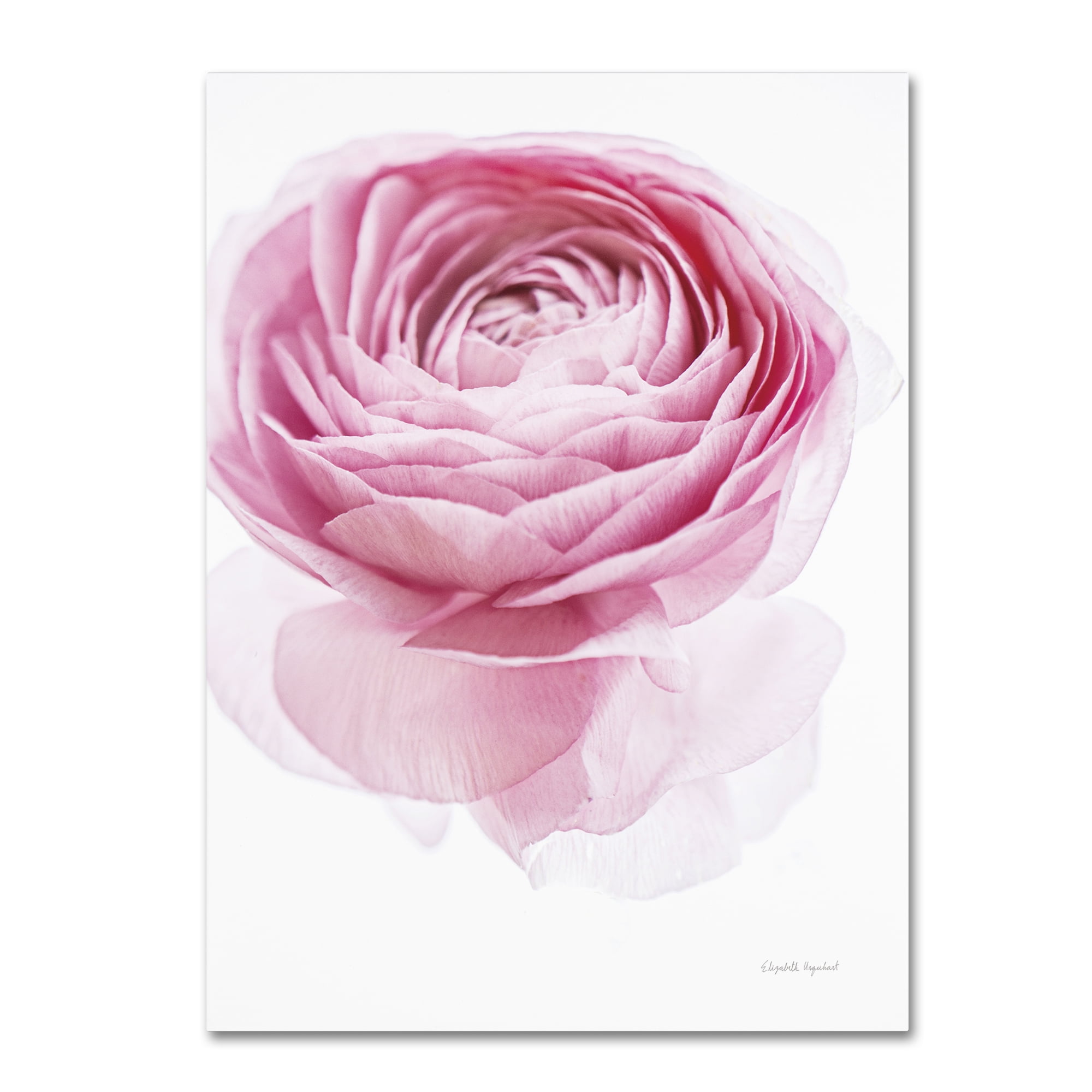 Pink Floral Canvas Art with Wood Frame, 19" x 14"