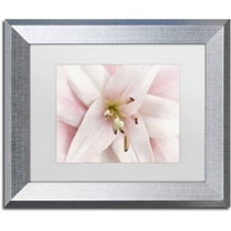 Trademark Fine Art 'Pink Lily' Canvas Art by Cora Niele, White Matte, Silver Frame