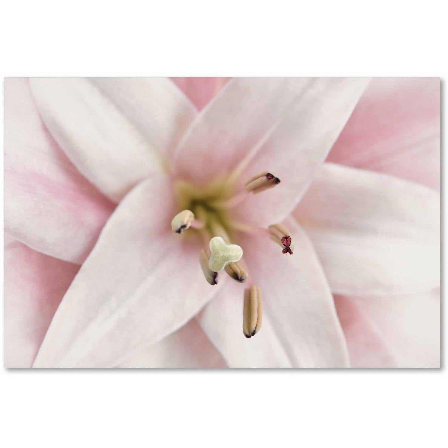 Pink Lily Close-Up Abstract Canvas Art with Wooden Frame