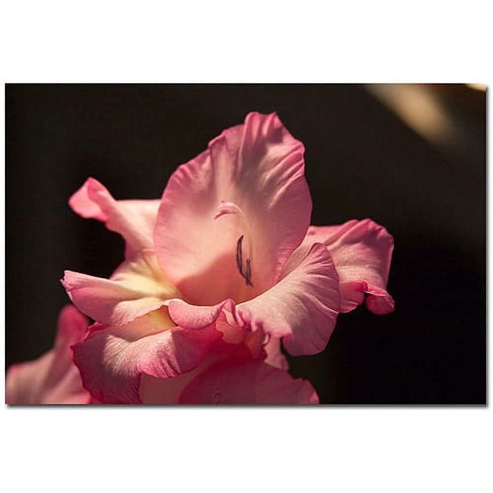 Trademark Fine Art "Pink Lily" Canvas Art by Martha Guerra