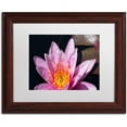 thumbnail image 1 of Trademark Fine Art "Pink Lotus" Canvas Art by Kurt Shaffer White Matte, Wood Frame, 1 of 4