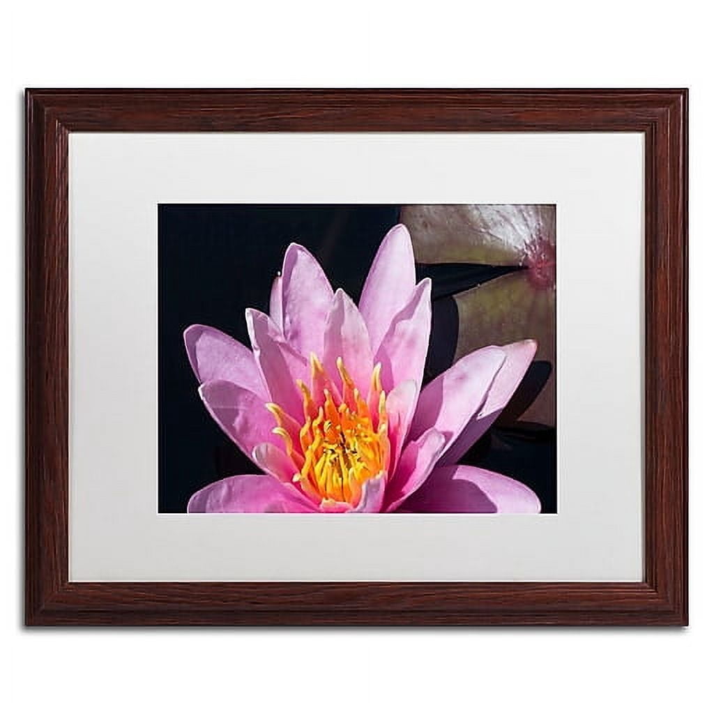 Trademark Fine Art "Pink Lotus" Canvas Art by Kurt Shaffer White Matte, Wood Frame