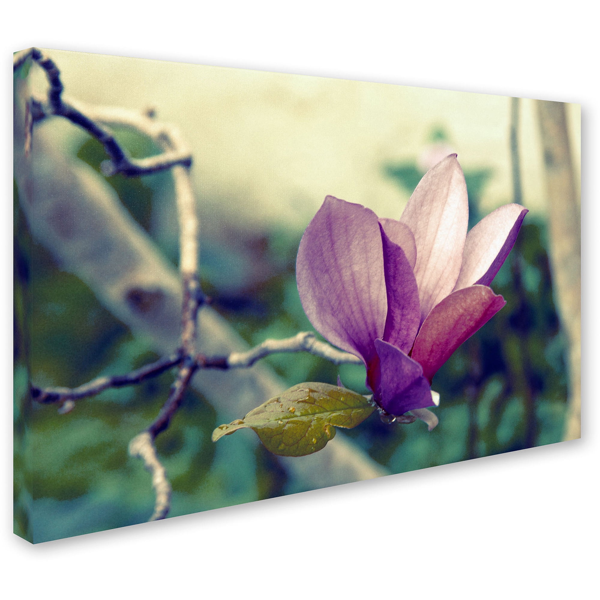 Pink Magnolia Flower Canvas Art in Frameless Presentation