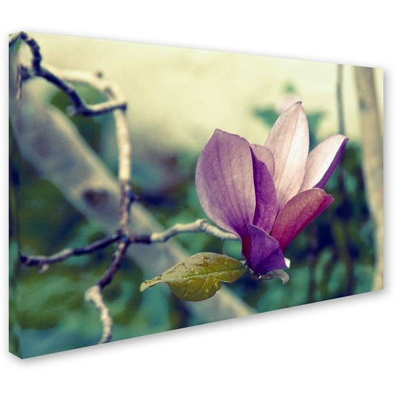 Trademark Fine Art "Pink Magnolia" Canvas Art by Patty Tuggle