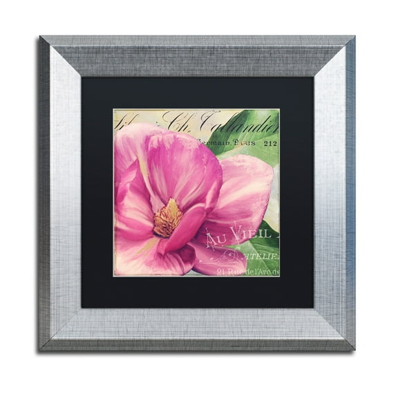 Trademark Fine Art "Pink Magnolia II" Canvas Art by Color Bakery Black Matte, Silver Frame