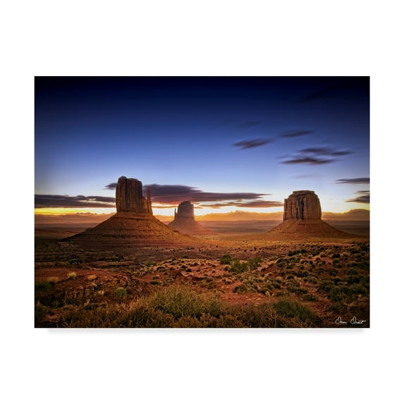 Trademark Fine Art 'Pink Morning Glory II' Canvas Art by David Drost